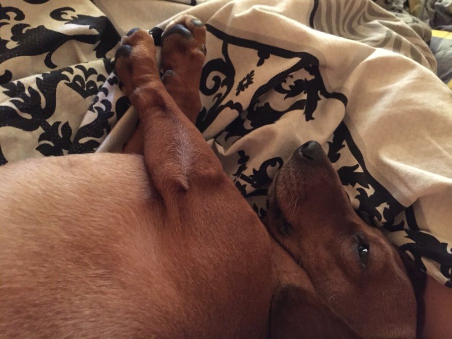 0000000.jpg (311.52 КБ) Просмотров: 1955 0000000.jpg