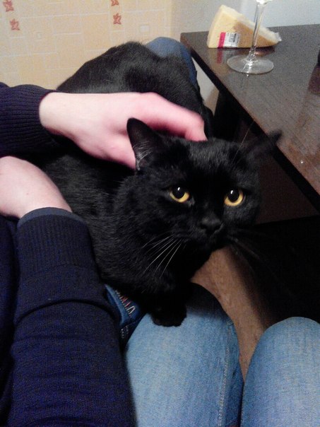 Новый дом1.jpg