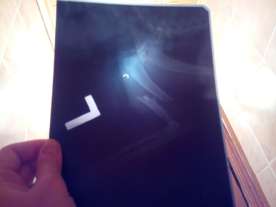 IMG_20150508_205516.jpg (55.19 КБ) Просмотров: 26409 IMG_20150508_205516.jpg