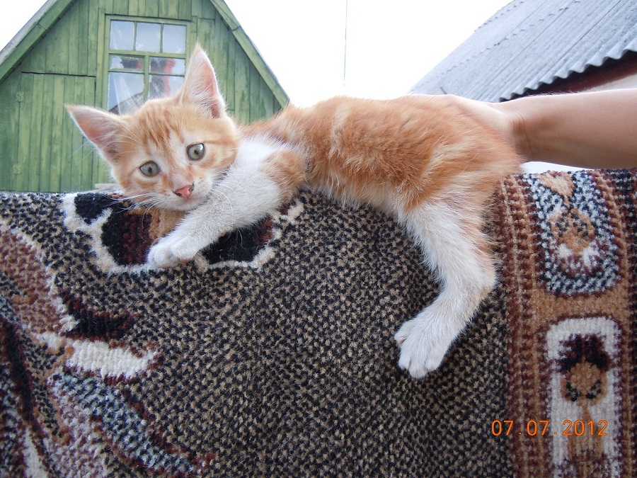 DSCN2471.JPG