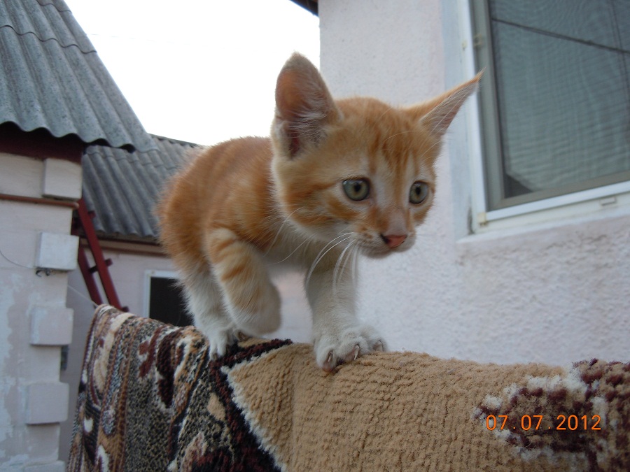 DSCN2478.JPG