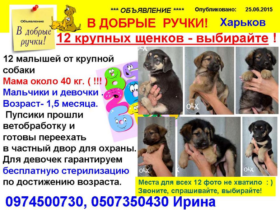12ЩЕНКОВ.jpg