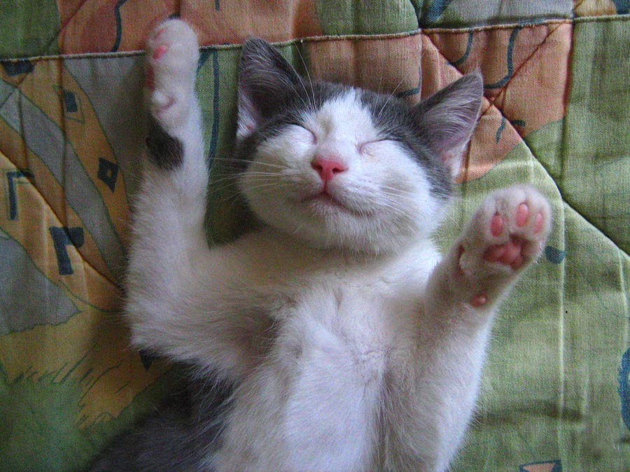космос9.jpg