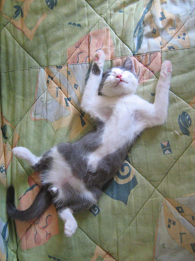 космос11.jpg