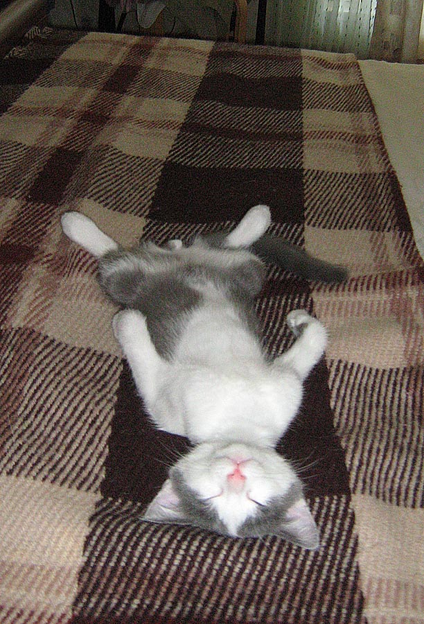 космос12.jpg