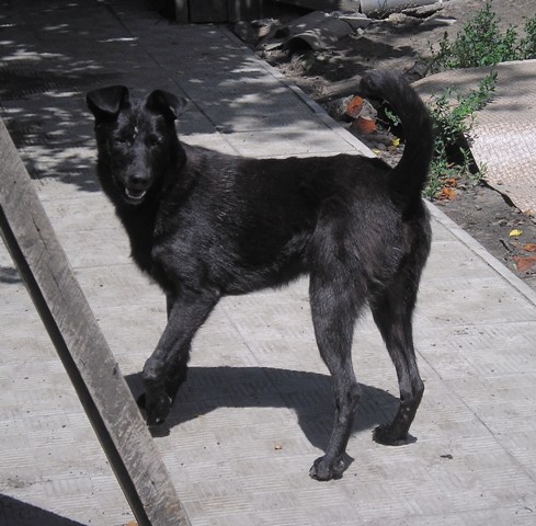 SAM_1909.JPG