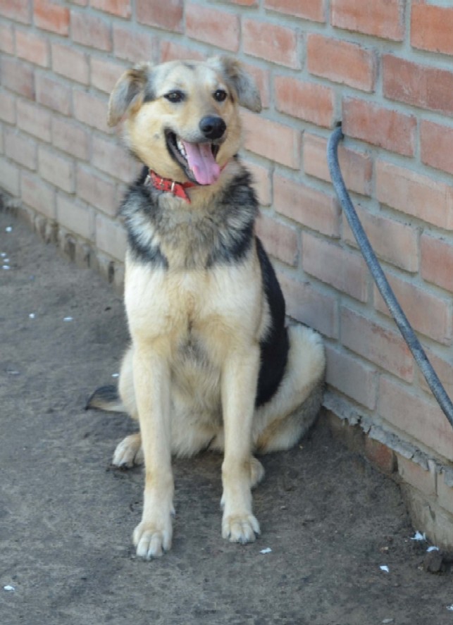 Лизушка 11.JPG