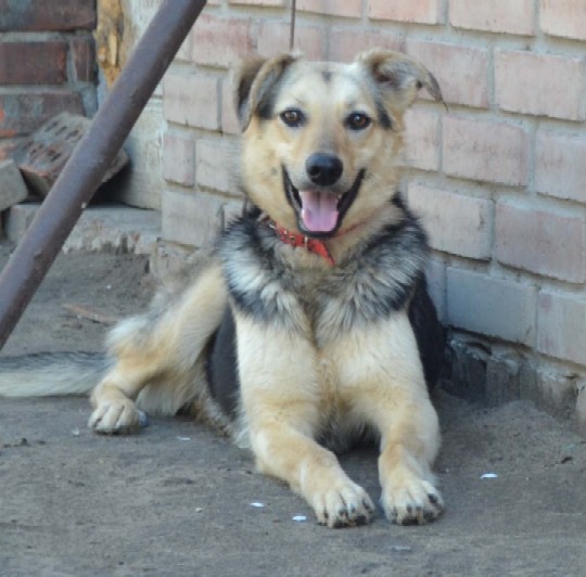 Лизушка 2.2JPG.jpg