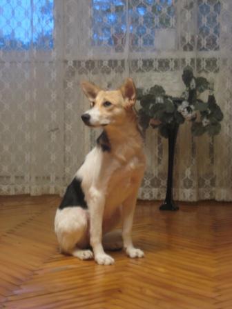 martaclone 022.jpg