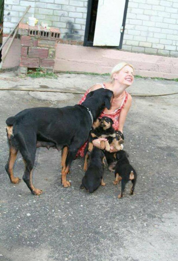 13882251_1561622404146734_4166627163495455842_n.jpg (91.34 КБ) Просмотров: 3947 13882251_1561622404146734_4166627163495455842_n.jpg