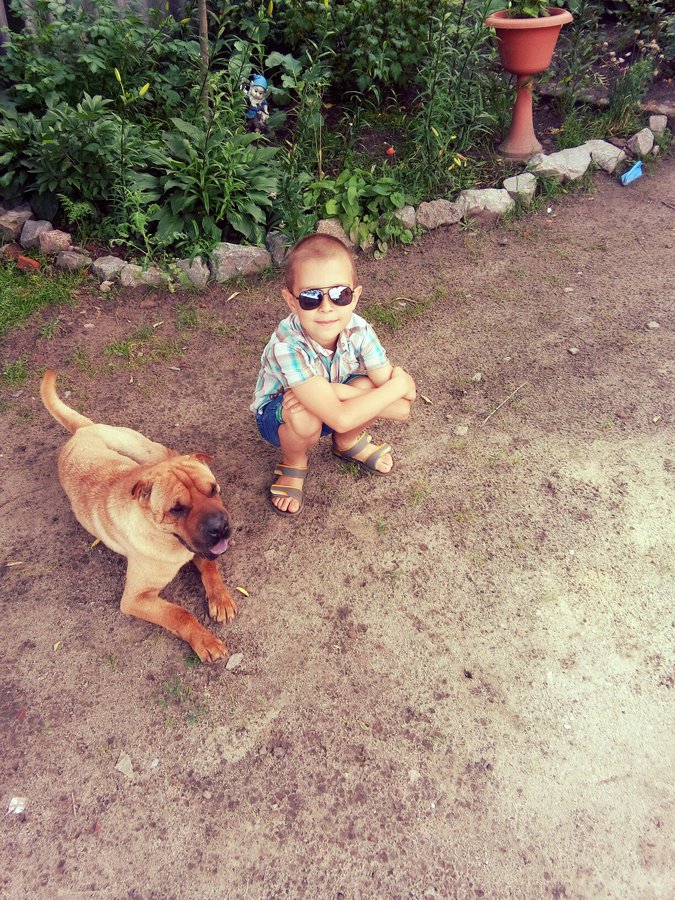 SHSk15QurjA.jpg (906.63 КБ) Просмотров: 4296 SHSk15QurjA.jpg