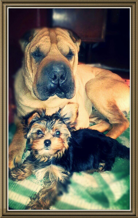 9W-PEum0Gg0.jpg (225.37 КБ) Просмотров: 4296 9W-PEum0Gg0.jpg