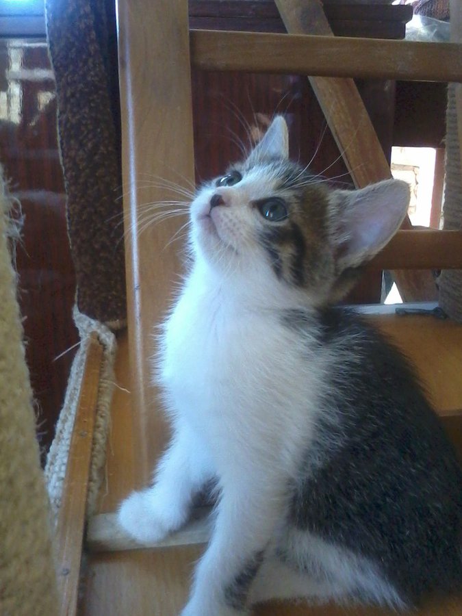 A0wf6WFabpc.jpg (131.15 КБ) Просмотров: 4510 A0wf6WFabpc.jpg