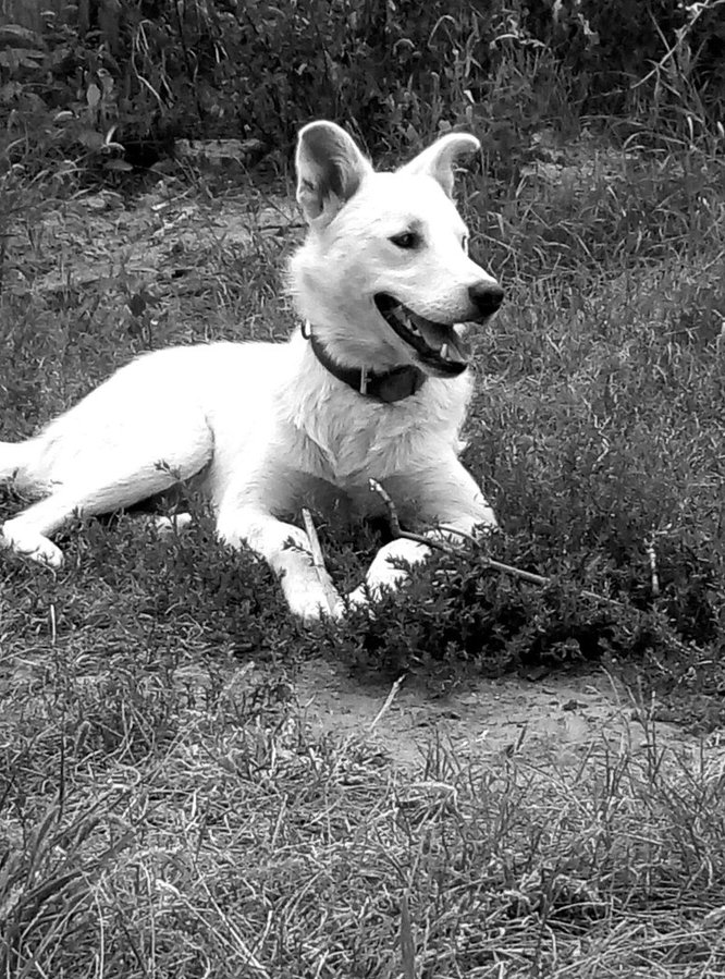 e1VFtYaNj8Q.jpg (258.93 КБ) Просмотров: 4067 e1VFtYaNj8Q.jpg