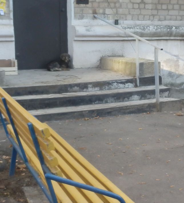 22соба3.jpg