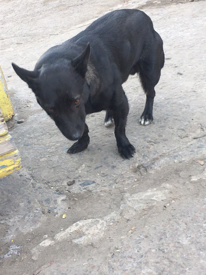 sSSjAvvnyT8.jpg (174.82 КБ) Просмотров: 36493 sSSjAvvnyT8.jpg