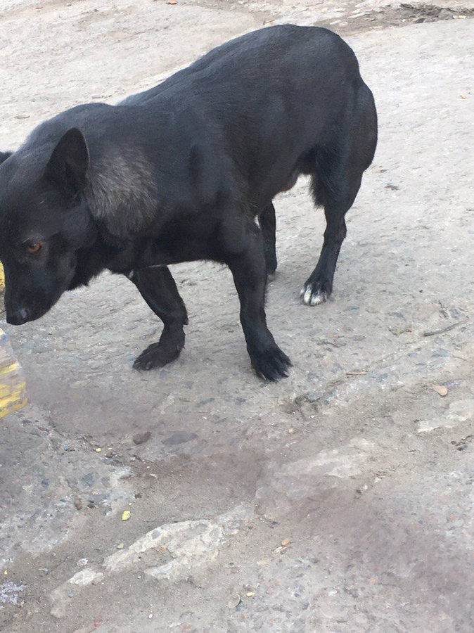 jJO0WOMgNV4.jpg (162.61 КБ) Просмотров: 36500 jJO0WOMgNV4.jpg